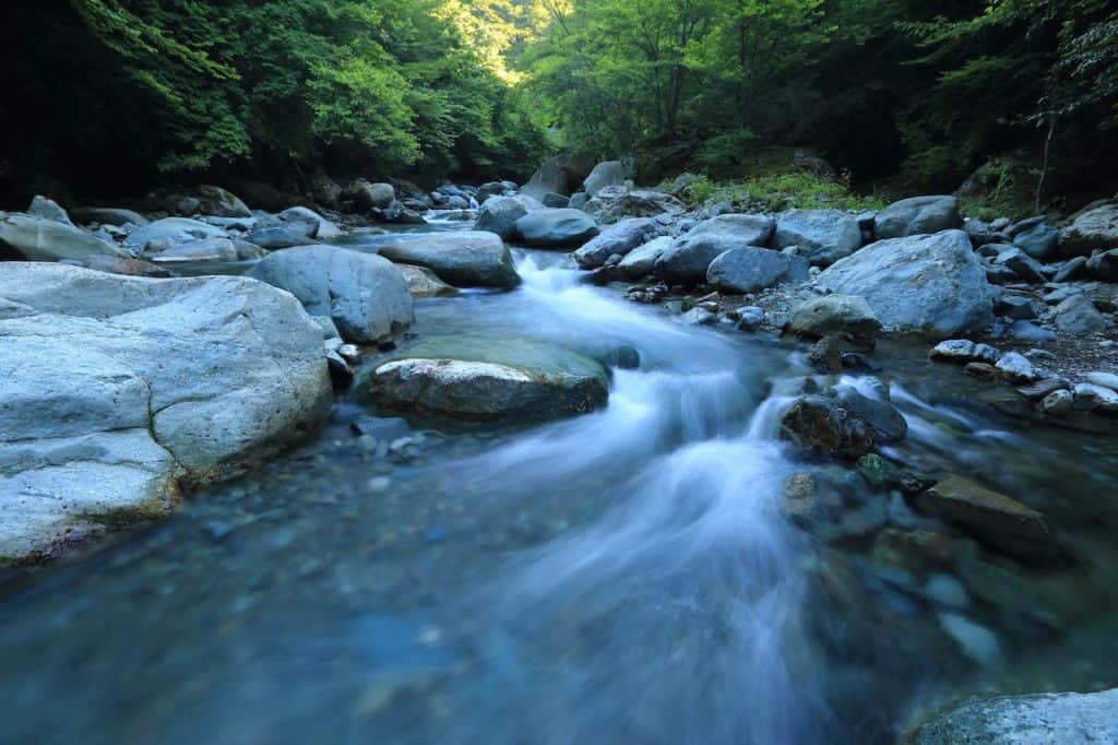 waters flow in beautiful forest stream