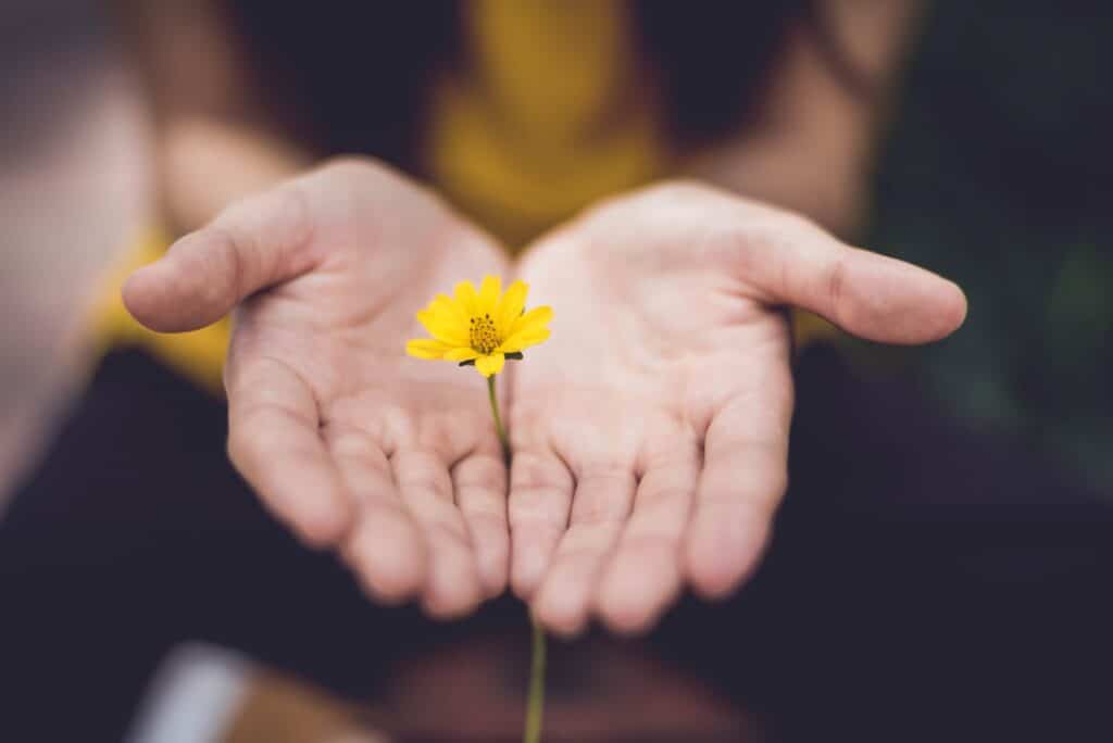 hands with flower