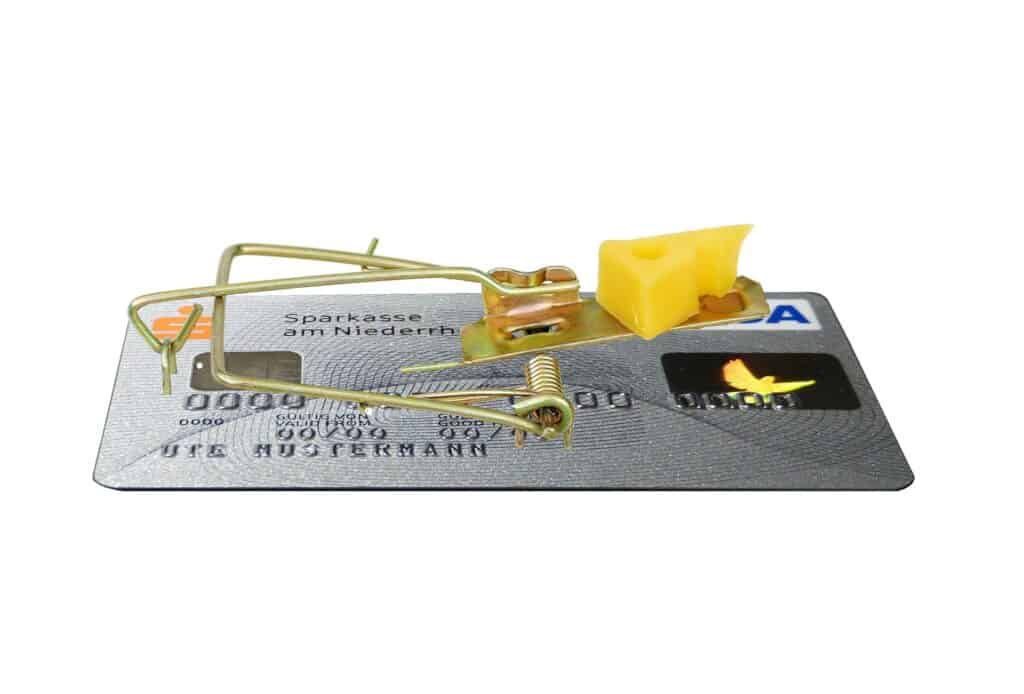 credit card mouse trap