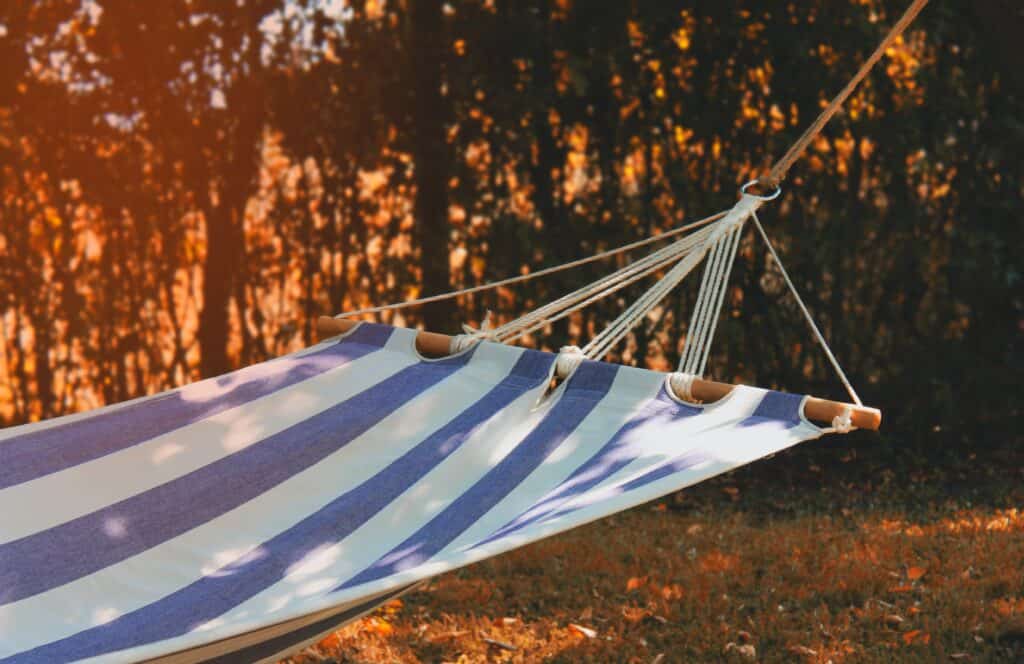 hammock