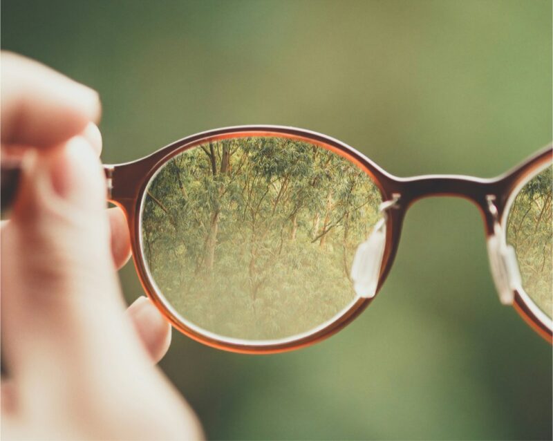 Person holding up glasses to reflect trees